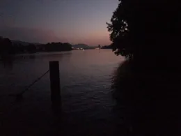 Rhein (Grenzach-Wyhlen)-1