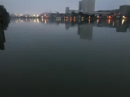 Rhein (Grenzach-Wyhlen)-3