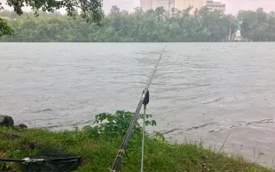 Rhein (Grenzach-Wyhlen)