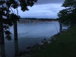 Rhein (Grenzach-Wyhlen)-2