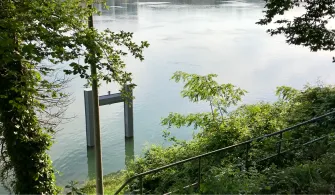 Rhein (Grenzach-Wyhlen)-4