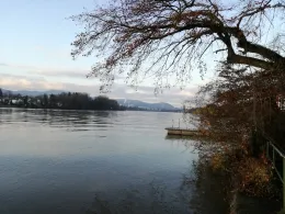 Rhein (Grenzach-Wyhlen)-4