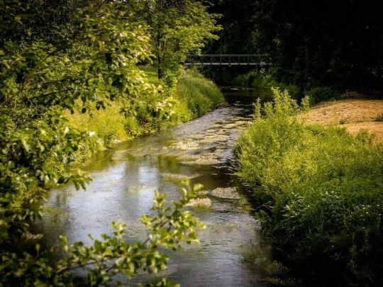 Wesenitz (Dürrröhrsdorf-Dittersbach)-3