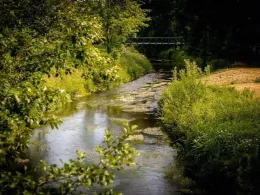 Wesenitz (Dürrröhrsdorf-Dittersbach)-3