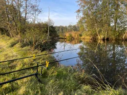 Schmutter (Achsheim)-3