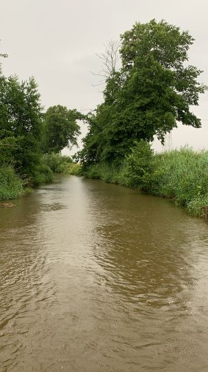 Schmutter (Achsheim)-1