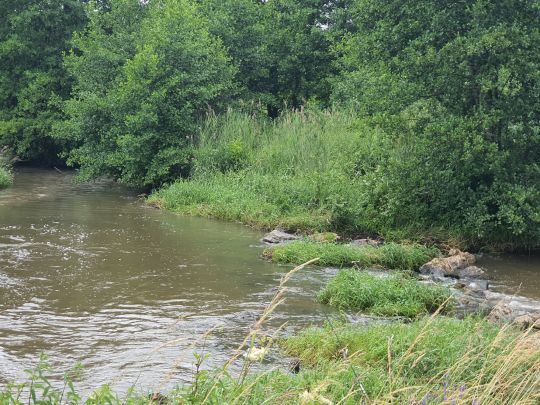 Schmutter (Achsheim)-2