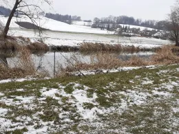 Schmutter (Achsheim)-4