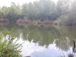 Tongrube Möserhöhe-1