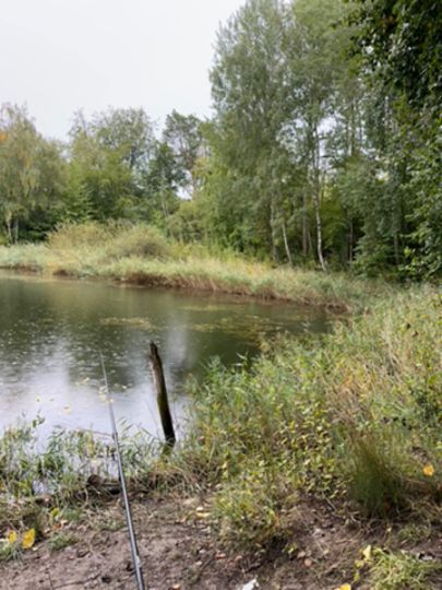 Tongrube Möserhöhe-2