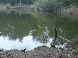 Tongrube Möserhöhe