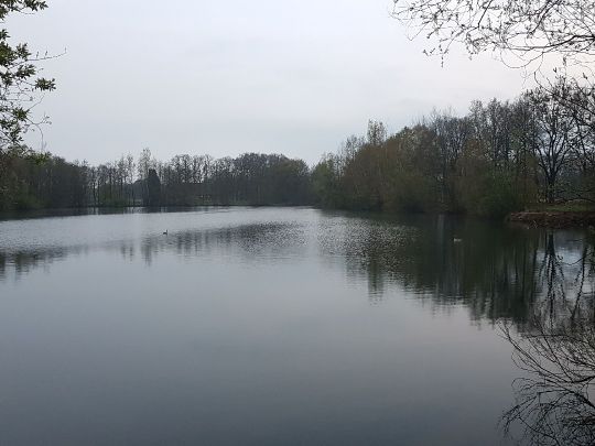 Leckisee (Harsewinkel)-2