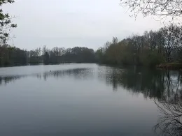 Leckisee (Harsewinkel)-2