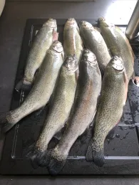 Forellenhof Ittertal