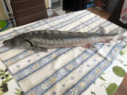 Forellenhof Ittertal-1