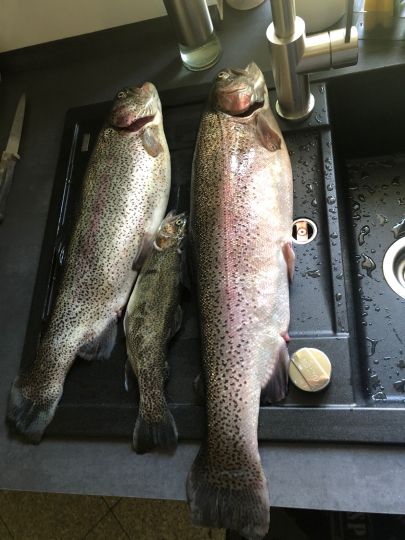 Forellenhof Ittertal-2