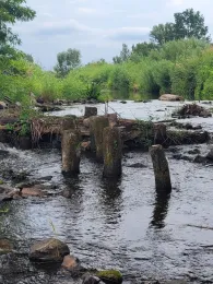 Lausitzer Neiße (Forst/Lausitz)-1