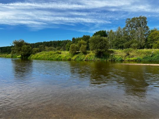 Lausitzer Neiße (Forst/Lausitz)-4