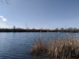 Sandsee 2 (Langweid)