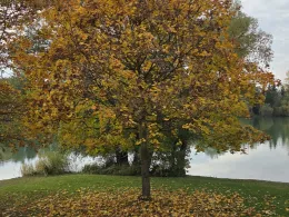 Sandsee 2 (Langweid)-3