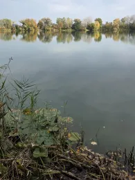 Sandsee 2 (Langweid)-4