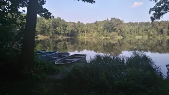 Mittelsee (Gr. Wasserburg)-0