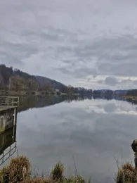 Rothsee (Zusmarshausen)-3