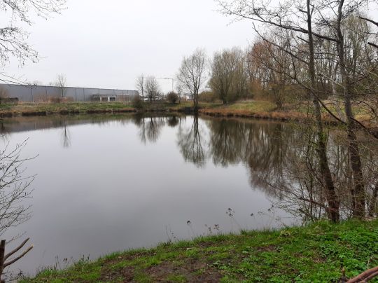 Grosser Teich Krückaupark-3