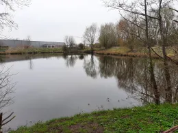 Grosser Teich Krückaupark-3