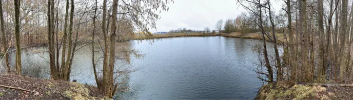 Grosser Teich Krückaupark-1