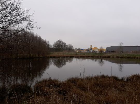 Grosser Teich Krückaupark-4