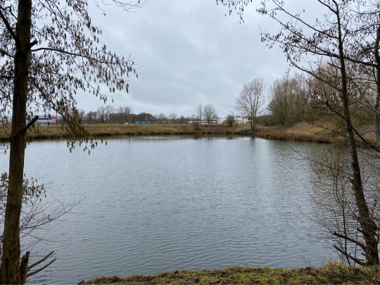 Grosser Teich Krückaupark-2