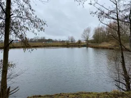 Grosser Teich Krückaupark-2