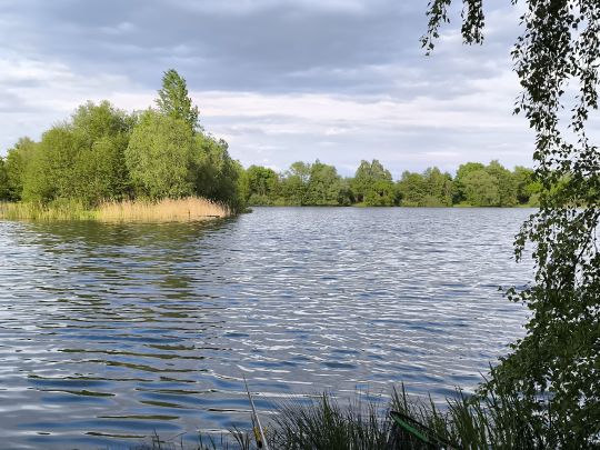 Heidesee (Mastholte)-2