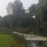 Fuhse (Oelerse-Abbensen) 