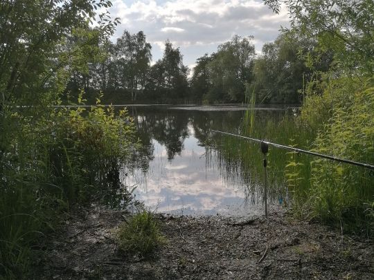 Ziegeleiteich Mohorn angeln