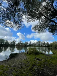 Ziegeleiteich Mohorn-3