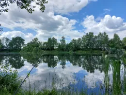 Ziegeleiteich Mohorn-2