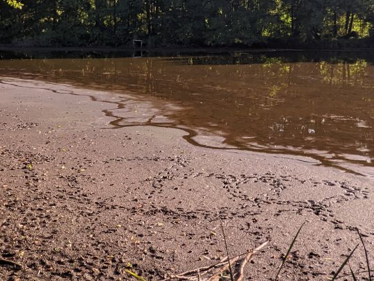 Torfstiche Rangsdorf-2