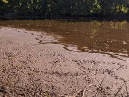 Torfstiche Rangsdorf-2