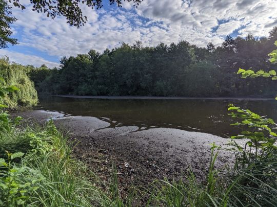 Torfstiche Rangsdorf-3