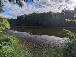 Torfstiche Rangsdorf-3