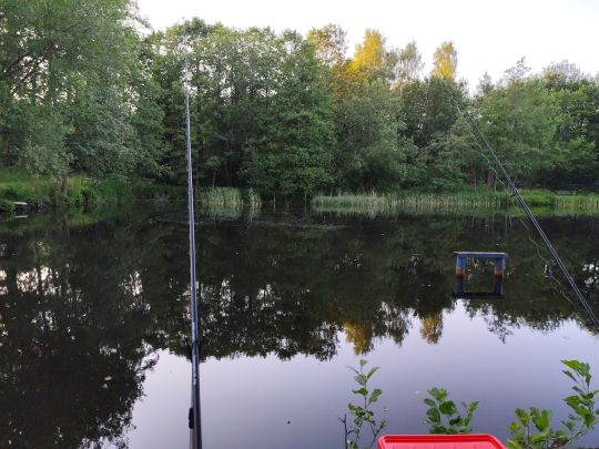 Gondelteich (Marienberg)-1