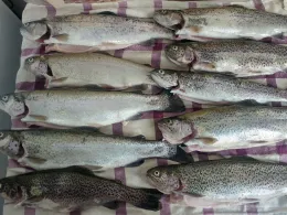 Richters Angelteich (Großwaltersdorf)-1