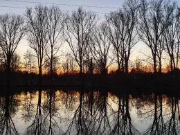 Waldmannsweiher (Fürth)