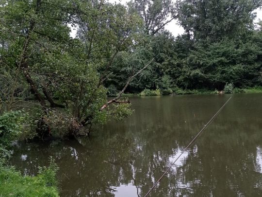 Waldmannsweiher (Fürth)-4