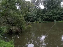 Waldmannsweiher (Fürth)-4