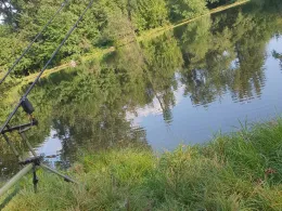 Waldmannsweiher (Fürth)-1