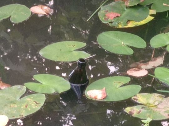 Waldmannsweiher (Fürth)-2