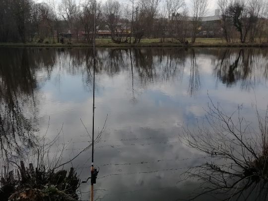 Waldmannsweiher (Fürth)-3